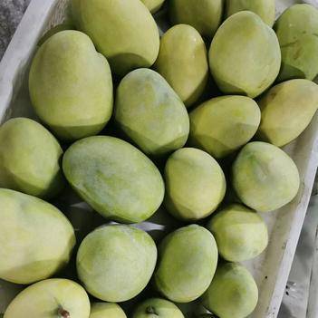 農產品批發供應商楊華 - 惠農網電腦版