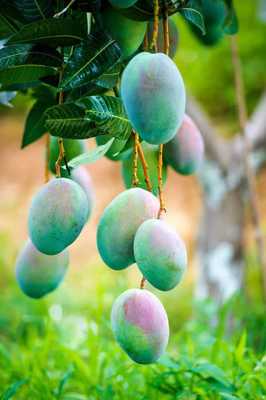 英雄攀枝花 陽(yáng)光康養(yǎng)地