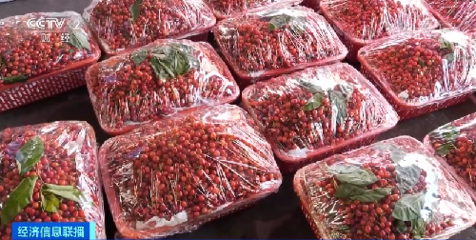 每斤超12元!櫻桃新鮮上市,早期價(jià)格比往年略高