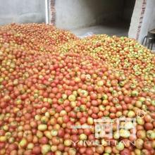 鄒春波的農(nóng)產(chǎn)品批發(fā)/采購