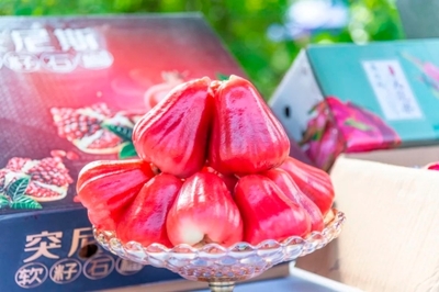 攀枝花市仁和區(qū)人民政府