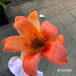 電話,地址,價(jià)格,營(yíng)業(yè)時(shí)間 攀枝花生活服務(wù)