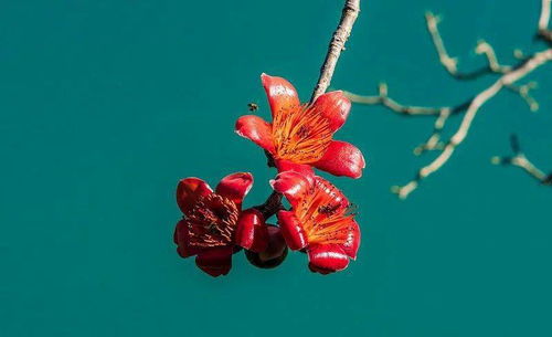 充電再續(xù)航 金舵攀枝花終端賦能培訓(xùn)會(huì)圓滿結(jié)束