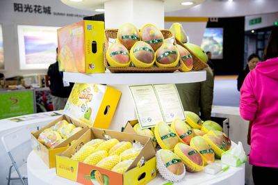 聚焦&ldquo;康養(yǎng)+農業(yè)&rdquo;,攀枝花爆紅農博會