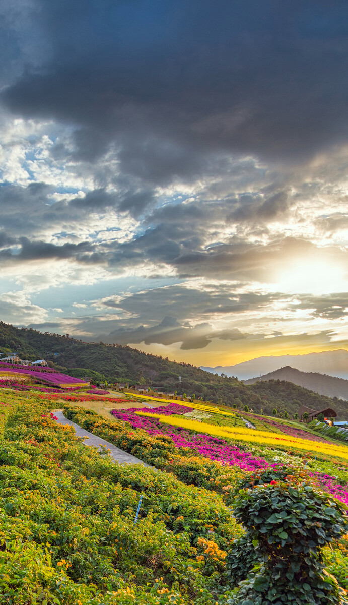 深圳,攀枝花,城市建筑,景觀風光。