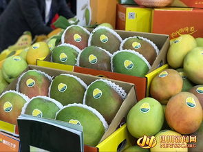 四川農(nóng)產(chǎn)品 c位 出道 攀枝花芒果郫縣豆瓣等抱團(tuán)亮相第十六屆國際農(nóng)交會(huì)